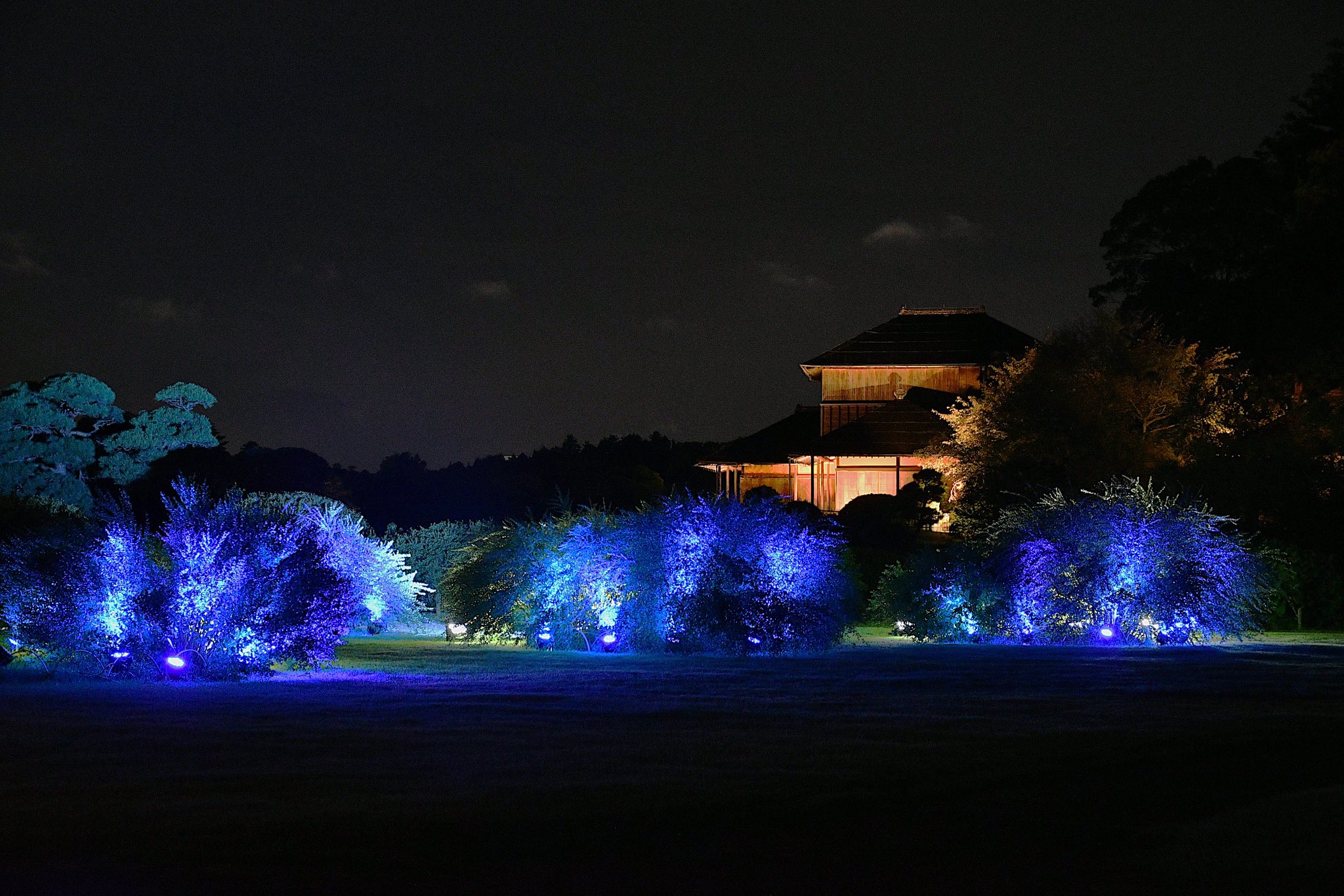 水戸の夜を楽しむおすすめスポットと体験ガイド2025 年のリアルなLemon8ユーザー体験