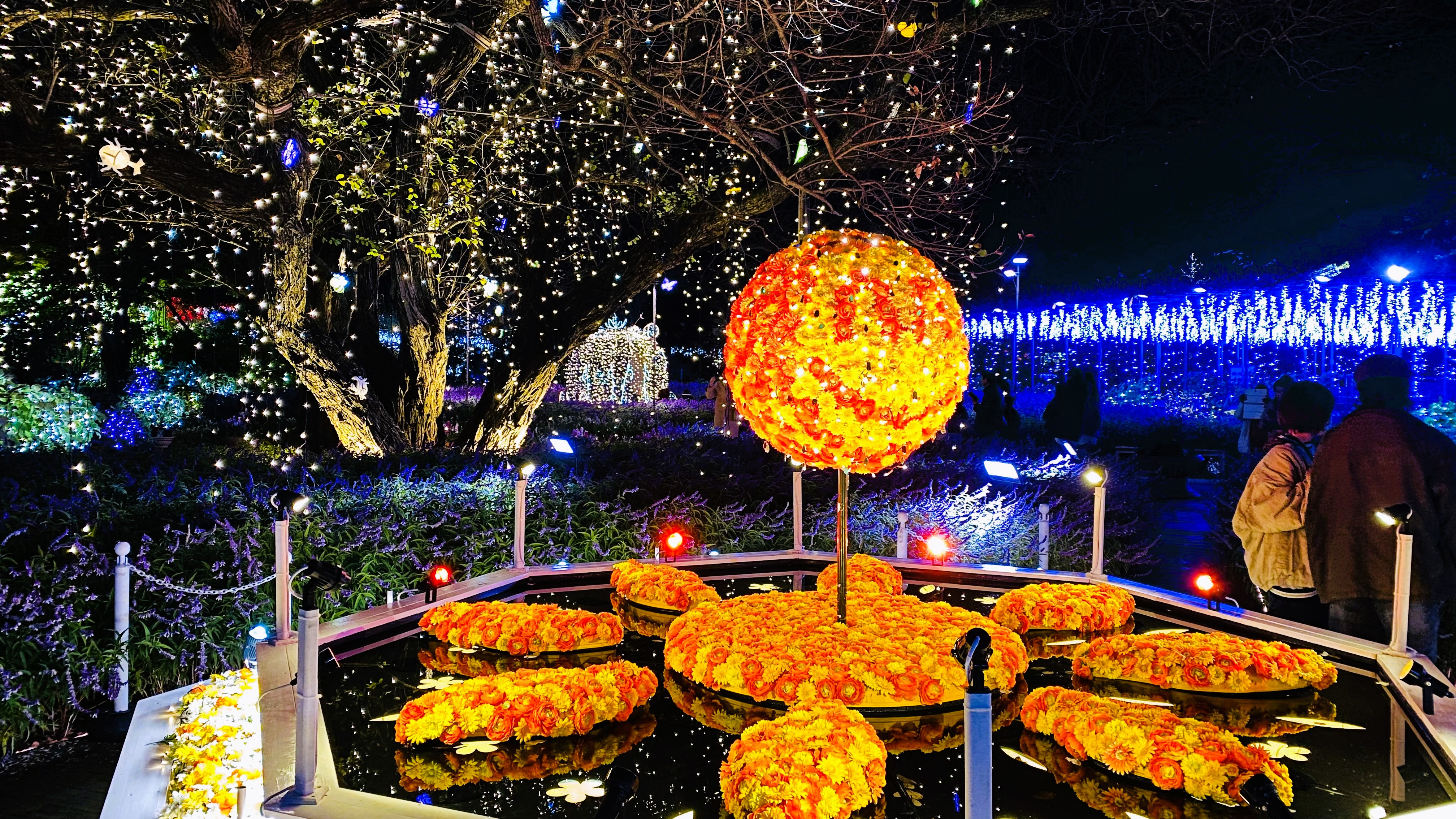 足利市・佐野市 お得に販売中！「あしかがフラワーパーク」のイルミネーションには「佐野市観光物産会館」でチケット事前購入がお得！号外NET 足利 市・佐野市