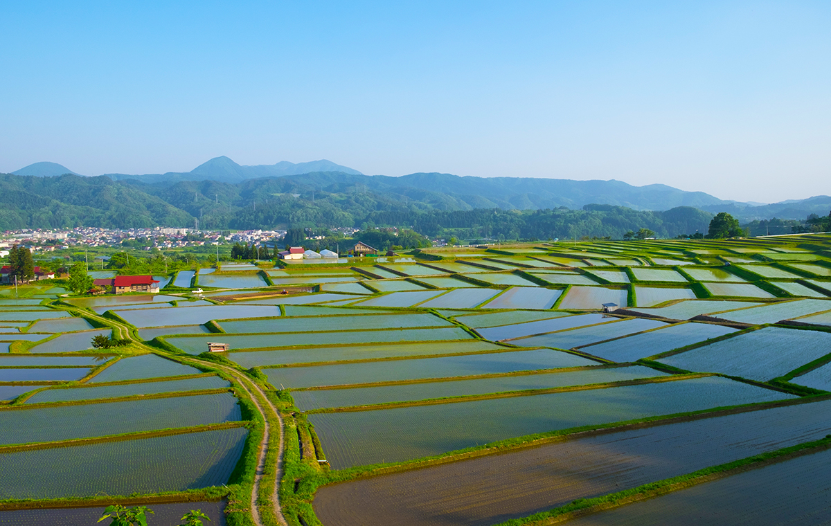 水は溢れるのか涸れるのか。それとも ？和風月名「水無月」考 季節・暮らしの話題 2020年06月01日- 日本気象協会 tenki.jp