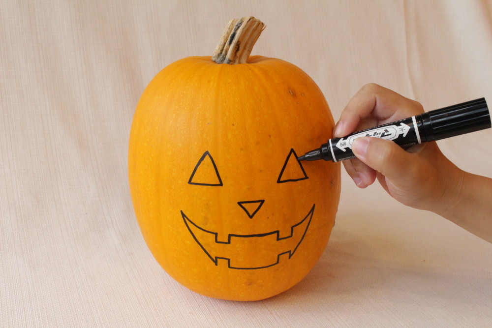 種子 ハロウィンかぼちゃ 福花園種苗のタネ : Gardener s Shop Ivy - 通販 - Yahoo!ショッピング