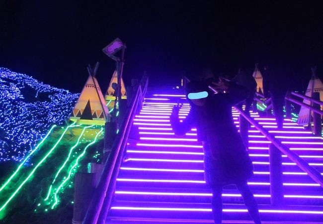 2024年冬版 鳥取県で開催されるイルミネーションスポット♡友人、家族とのお出かけにオススメ トリーまとめtory トリー