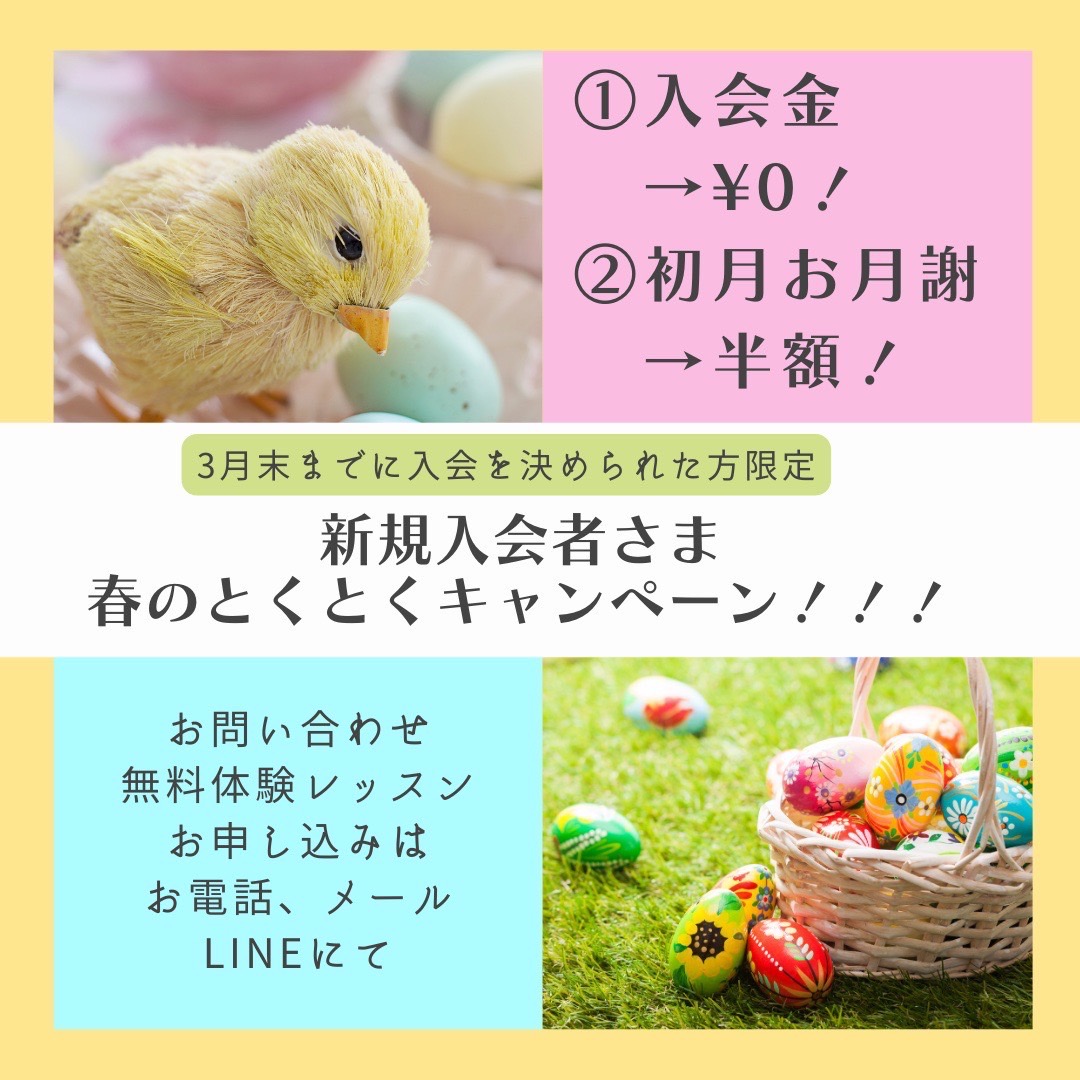 春の入会キャンペーン実施中！HappyDayEnglish ハッピーディ イングリッシュ栃木県宇都宮市外国人の講師による英会話 AFTER SCHOOLLANGUAGEスクール