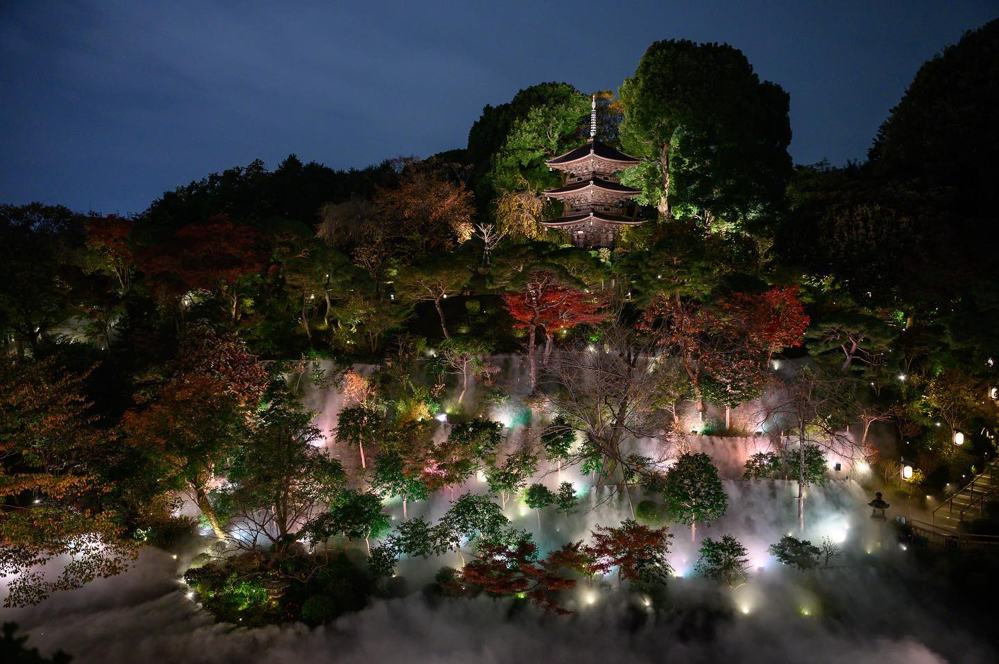 フォーシーズンズホテル椿山荘のクリスマスツリーSample Life♪