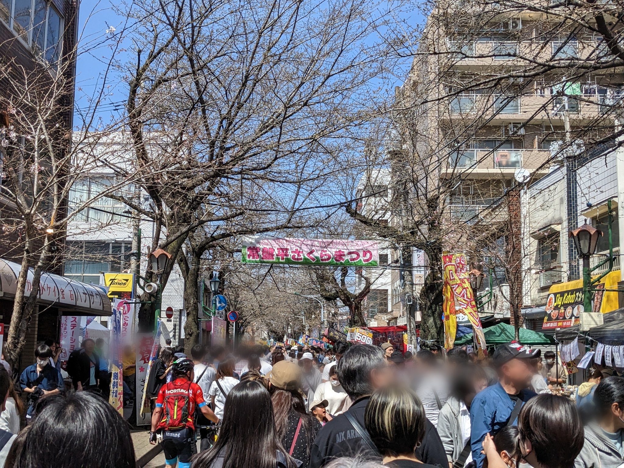 常盤平さくらまつり: Fomalhaut