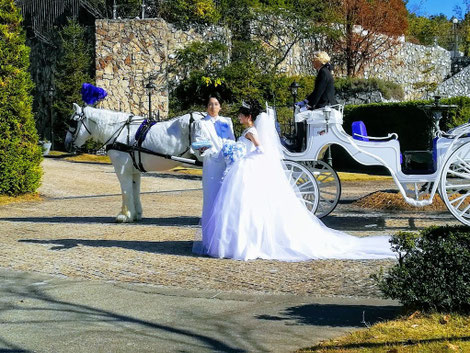 リヤドロ 幸福へと続く道 結婚式 ウェディング 馬車 白馬 世界限定制作数500