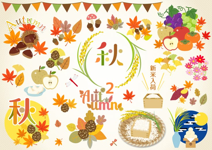 高齢者と一緒に作る秋の「十五夜」の壁面飾り 9月 型紙付き認知症ケアの現場から 12 明日の介護をもっと楽しく 介護のみらいラボ 公式