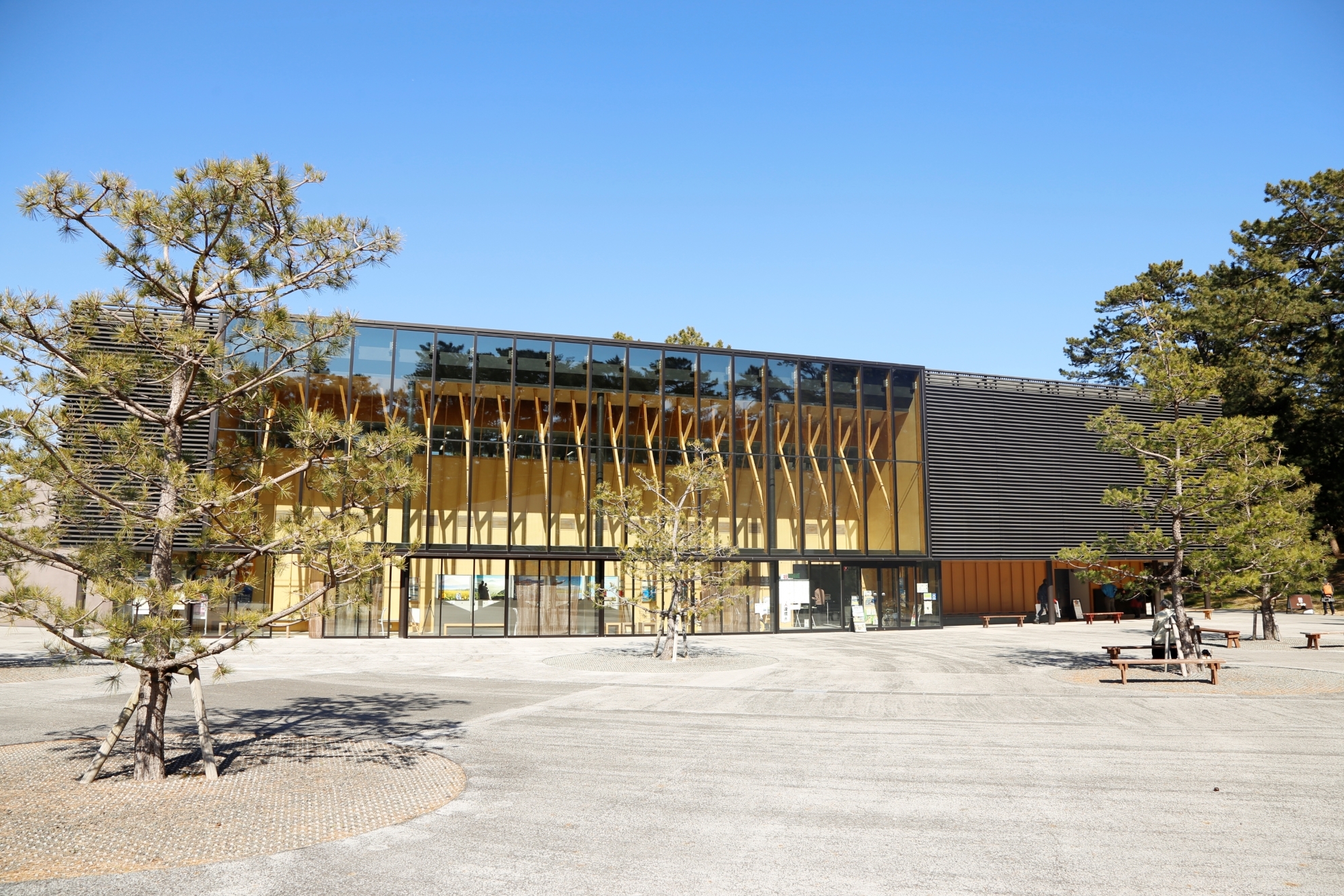 三保初日の出プロジェクト