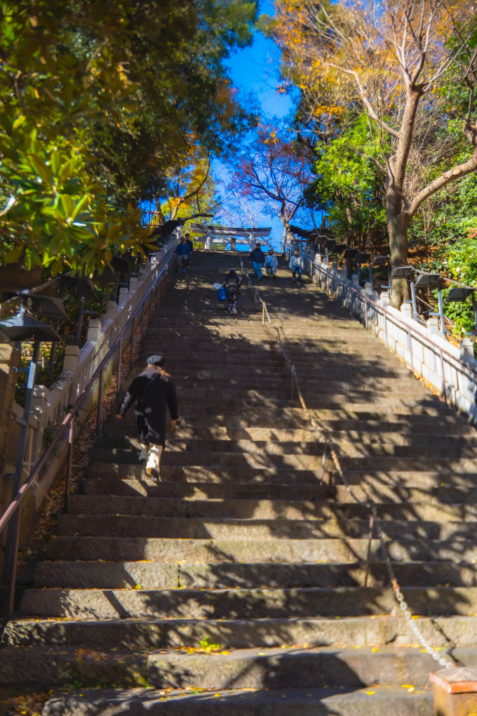 のぼりくだりの街 2024年＞ 4 愛宕神社 出世の石段 港区故事にあやかり一気：東京新聞デジタル