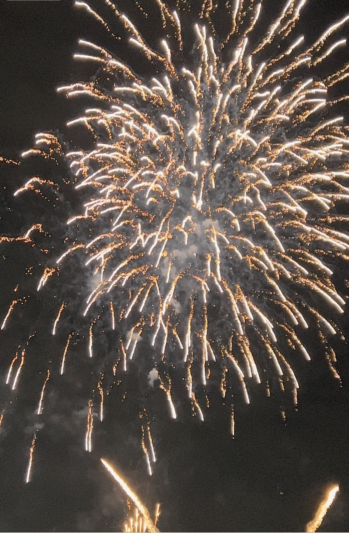 横浜観光情報 公式on X: 