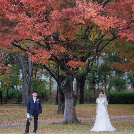 披露宴会場全体が暖かみのある色味なので 距離感が近く、アットホームな雰囲気が創り出せます𓂃❤︎ ゲストと会話を楽しみたいおふたりにおすすめです𓍯—— ○約20,000坪の「西の丸庭園」でガーデンウエディング ○400年の歴史紡ぐ大阪城の麓に佇む「本物の迎賓館」 ○一