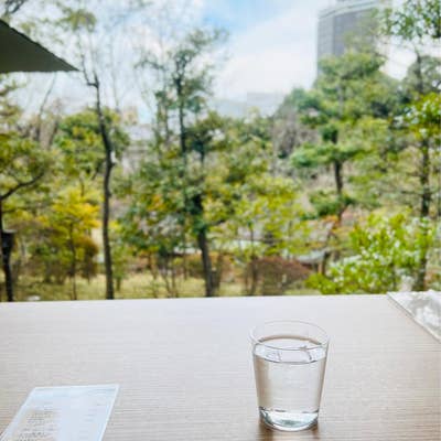 2025年版一度は行きたい、都内の美しいミュージアムカフェ・レストラン12選美術手帖