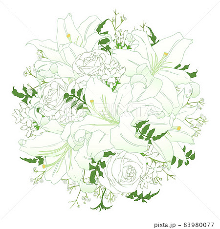 ギャラリー：コウモリ、黒猫、フクロウなどハロウィンの動物たちナショナルジオグラフィック日本版サイト