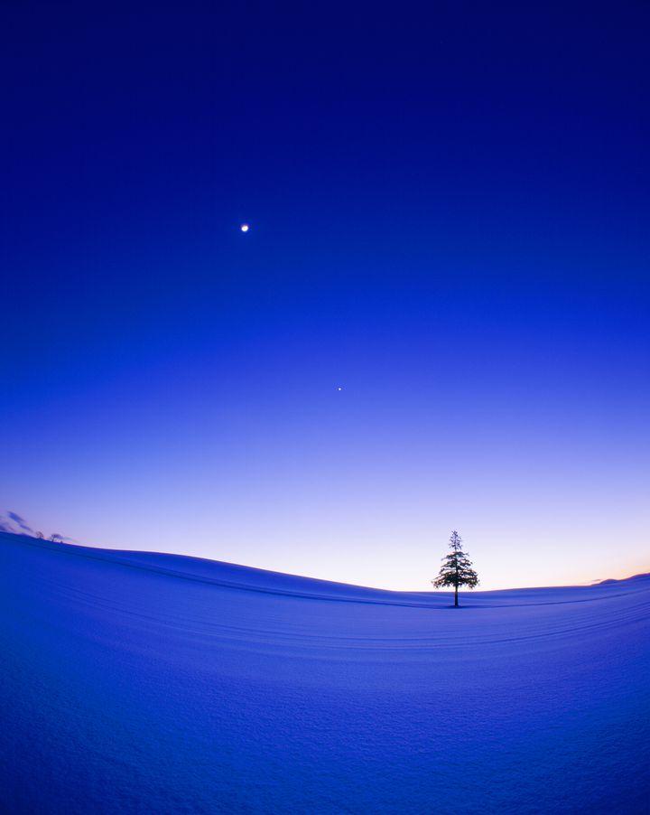 美瑛町 クリスマスツリーの木 撮影方法と防寒対策北海道W08絶景nippon