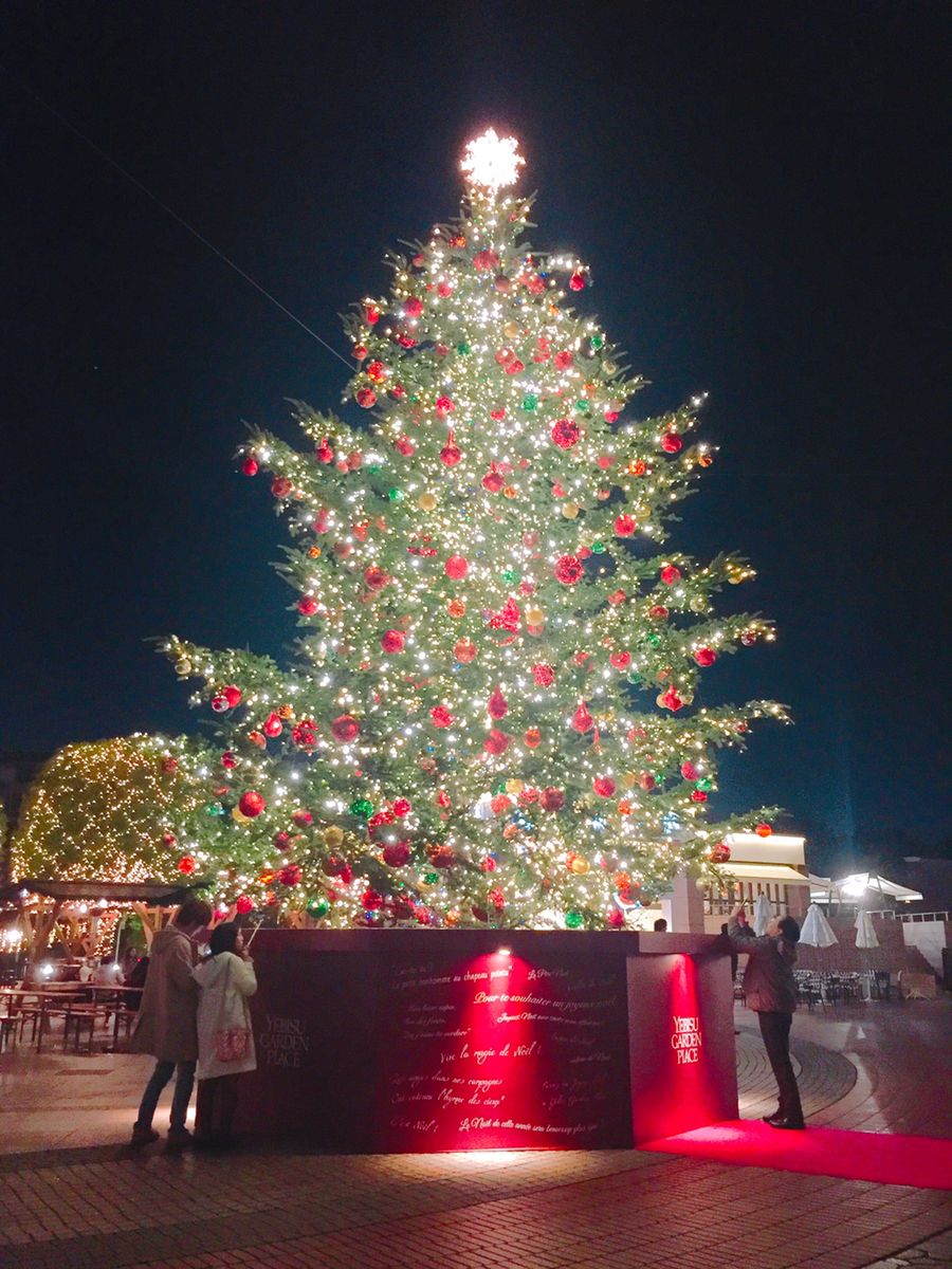 恵比寿ガーデンプレイスのクリスマスツリー 昼凛々日記