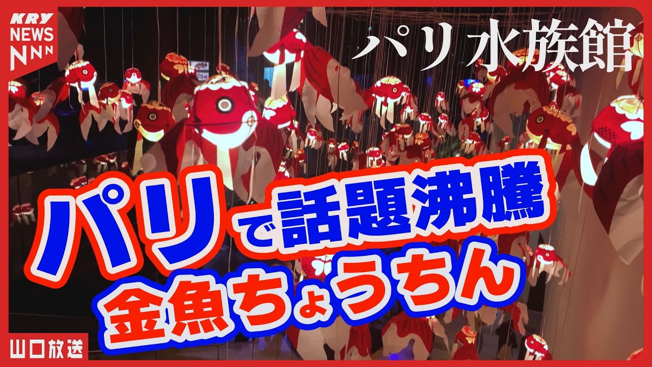 夏夜を彩る赤い金魚！「柳井金魚ちょうちん祭り」2025