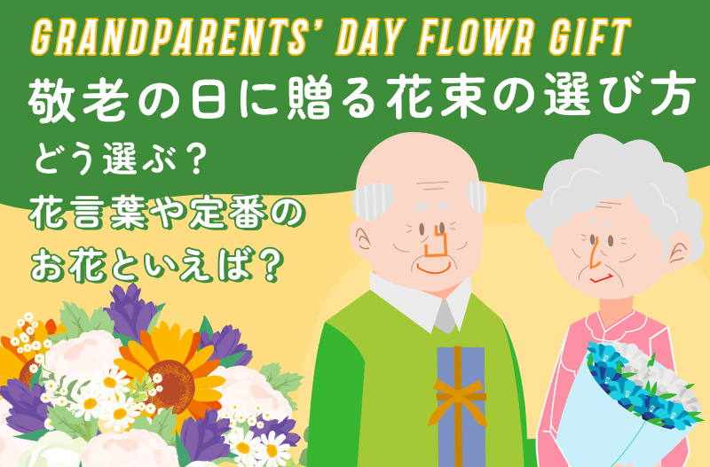 敬老の日 鉢植え 選べる4種類 「長寿を祝う胡蝶蘭〜茜 葡萄 山吹 白絹〜」 ギフト プレゼント 花プレゼント おすすめ 人気 おしゃれ ギフトおじいちゃん おばあちゃん 花を贈る 還暦 古希 喜寿 傘寿 米寿 白寿 送料無料 フラワー 鉢 鉢花 花鉢 庭 玄関 2025年 敬老の