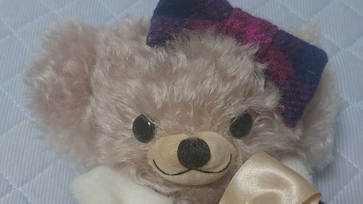 高島屋オリジナルクリスマスベアセット