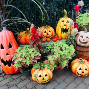 子連れスポット ハロウィン期間に仮装して行きたい！横浜のおすすめ穴場写真スポットをご紹介！MORE