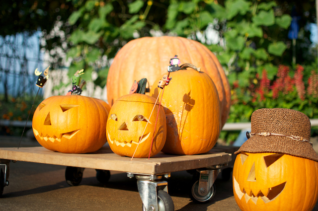 ハロウィン かぼちゃイラスト無料イラスト・フリー素材なら「イラストAC」