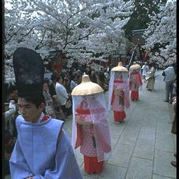 観光情報 祭り・イベント新宮市観光協会