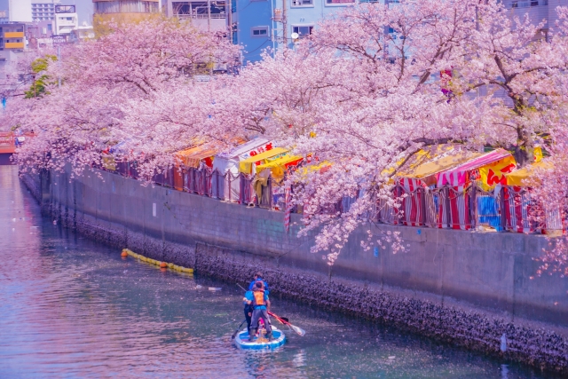 大岡川桜まつり花見を楽しむ屋台の場所・まったり穴場2選きになるきにする