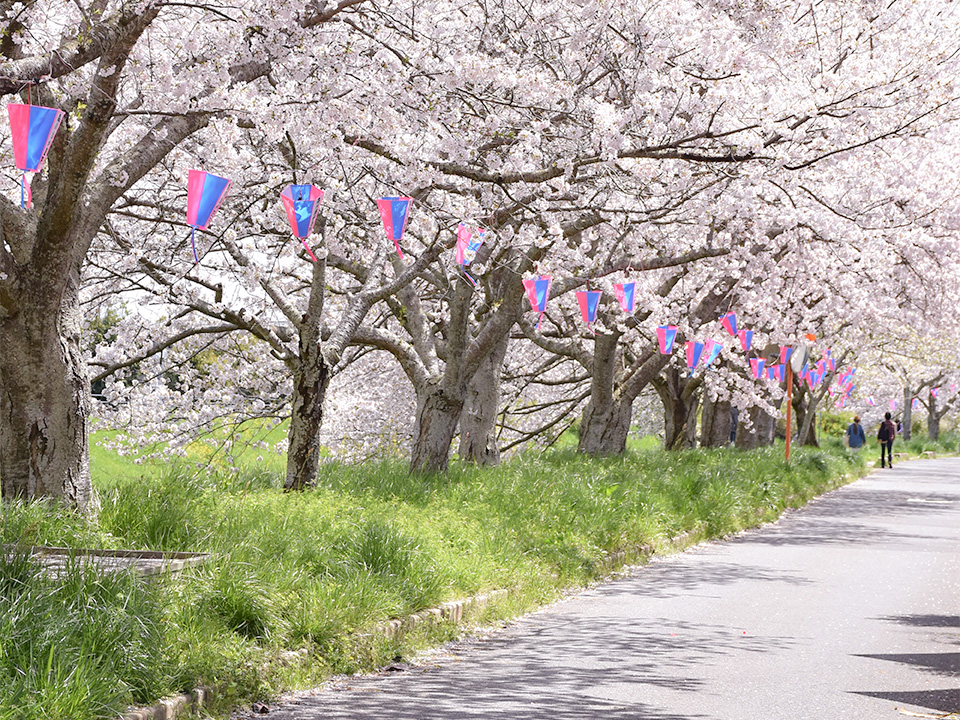 茂原市観光協会 on X: 