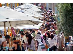 写真追加 レポ 緊急プレ開催！親子の無料撮影会in徳島中央公園♫蜂須賀桜の並木道は春満開☆スタジオサークル BLOG 徳島の出張専門・親子写真スタジオオフィシャルブログ