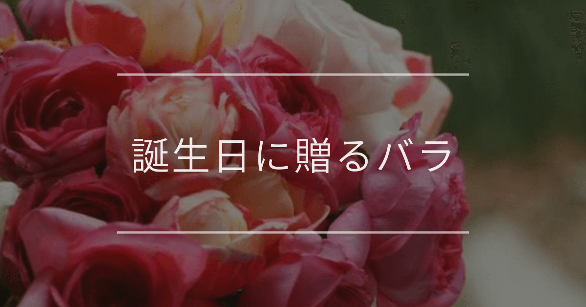 バラ 花束 レッド選べる本数：121本～200本お誕生日に贈りたい安心と感動を送る！フラワーギフト 花のギフト社