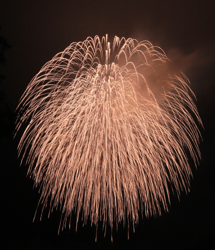 穴場スポット公開 新城納涼花火大会2025攻略法！桜淵公園の屋台・駐車場・混雑回避術