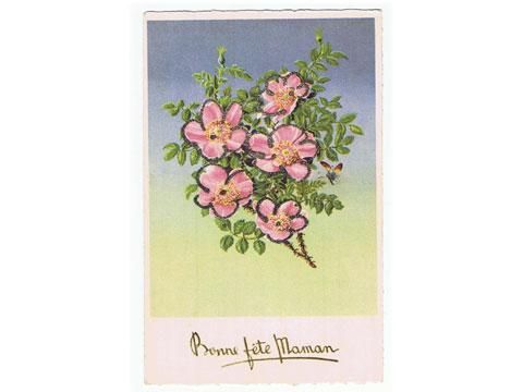 ポストカード 年間行事 母の日 植物 カーネーションJD2025年間行事,母の日・父の日キンコーズポストカード