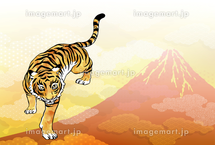 2022年寅年年賀状 虎とトラ猫：イラスト無料