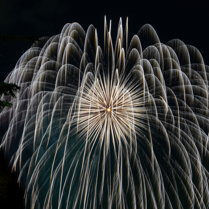 お椀の様な銀冠花火、しだれ柳長岡まつり大花火大会長岡花火
