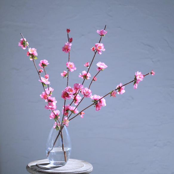 特集！桃の節句のお花いけばな小原流