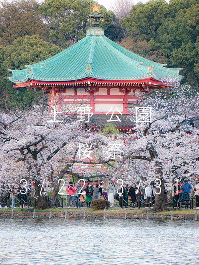 上野公園 桜まつりレジャーシートTikTok