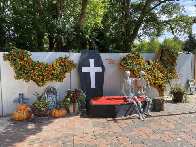 HAPPY HALLOWEEN♪開花情報神奈川県立大船フラワーセンタ