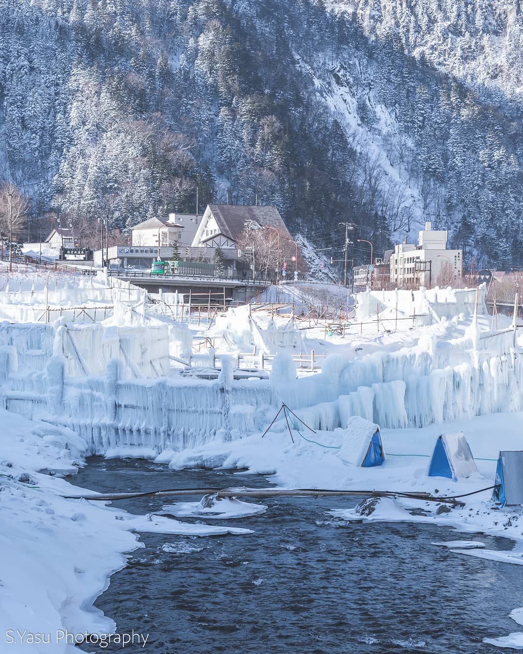 冬の風物詩雪吊り 10277006890 の写真・イラスト素材アマナイメージズ