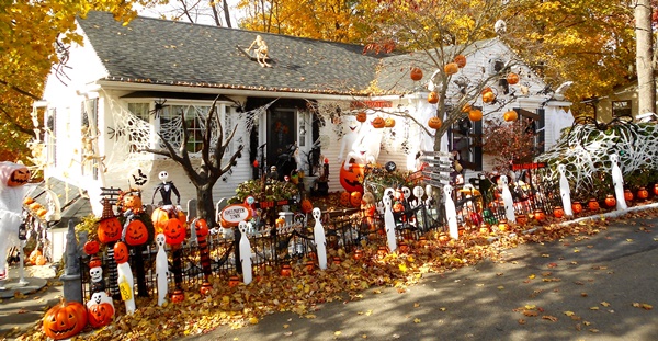 50個入り フラワー・ガーデニング ハロウィン置物 ガーデンオーナメント 室内 屋外 ハロウィン インテリア 玄関 リビング ダイニング 装飾オフィス 庭 ガーデニング 装飾 ガーデン ハロウィン飾り 逆さまの魔女の足 感謝祭 季節飾り 撮影 飾り付け ユニーク