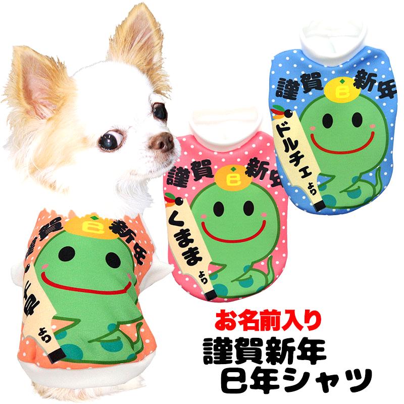2025年巳 へび 年 年賀状デザインのイラスト㊱ 無料無料ペットイラスト Pet-illust 犬・猫・鳥・ペットイラストぬりえ・年賀状 ・カレンダーイラスト多数無料