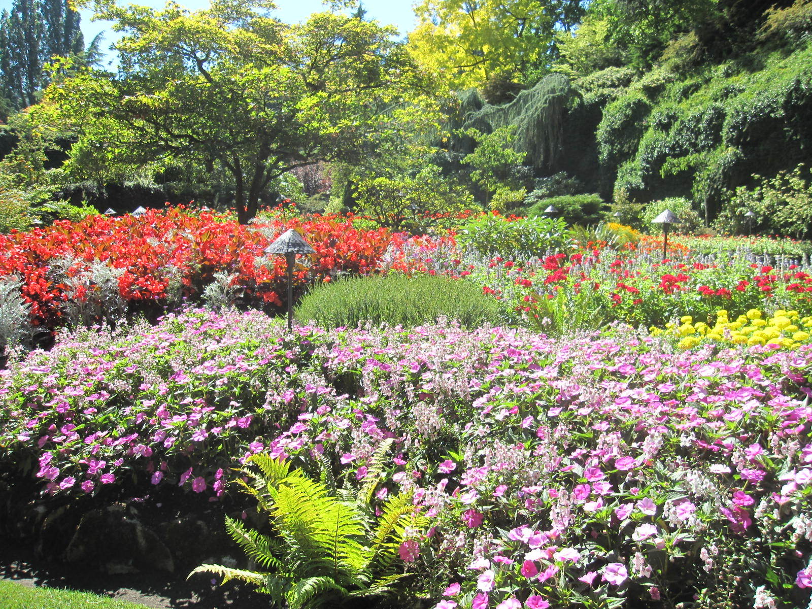 アフタヌーンティー＊ブッチャートガーデンinカナダ : MIRU'S PHOTO