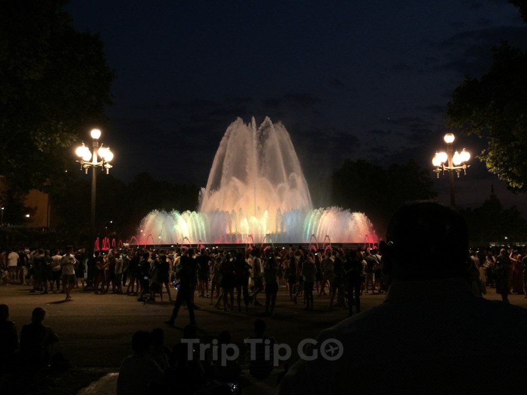 バルセロナのマジックファウンテンショーとゲイナイトツアー 2025