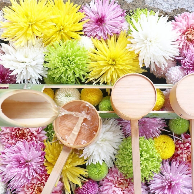 秋の工作 菊の縁起飾り - YouTube