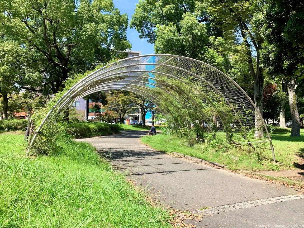 或紅刀-アクト- on X: 