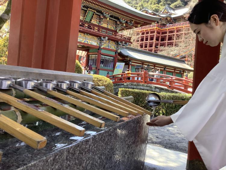 青島神社へ初詣 写真特集・平成最後の初日の出フライト ソラシド編