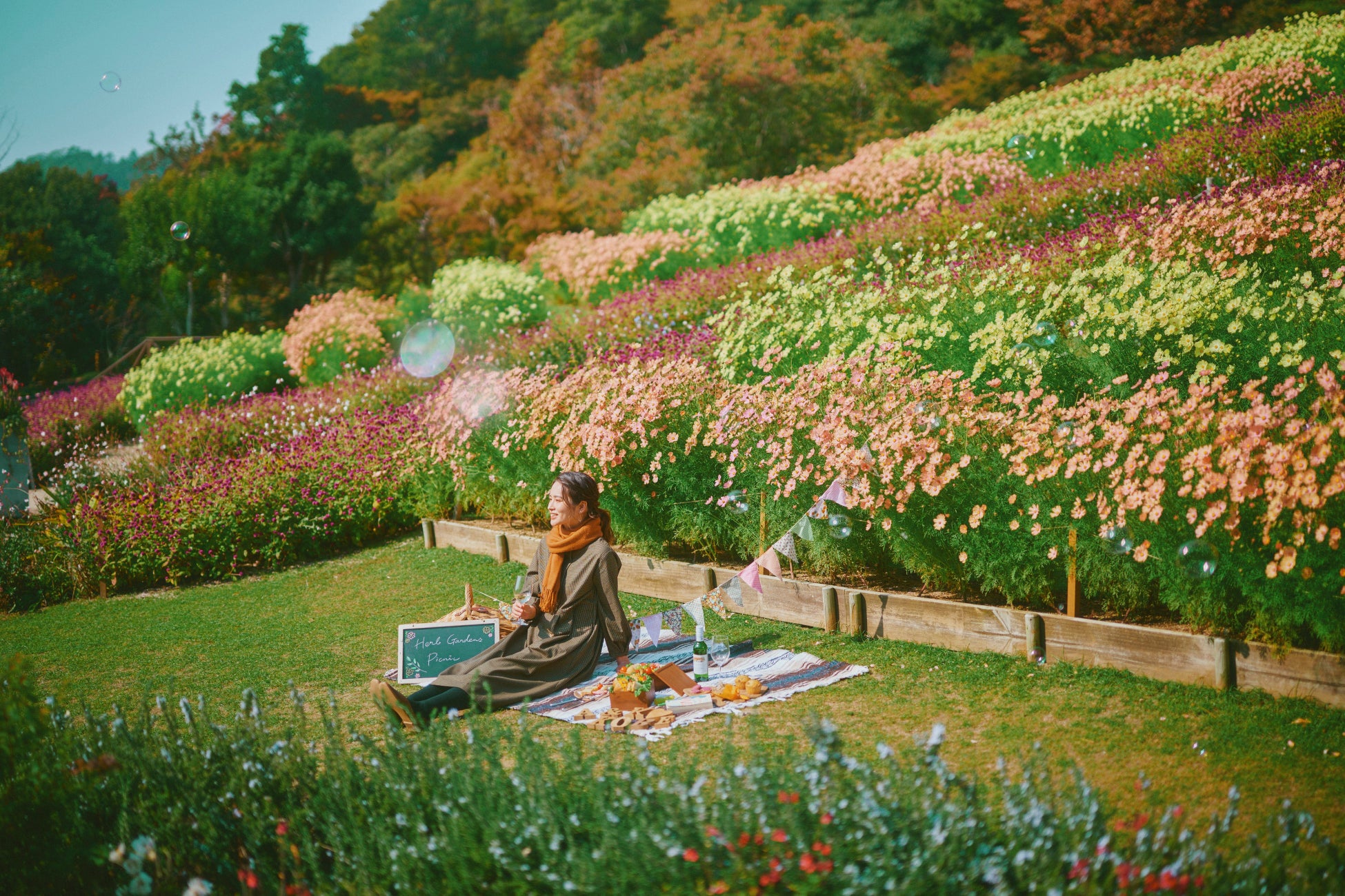 食欲の秋！ 秋ピク でおしゃれに楽しもう🧺🥐 秋の果物やスイーツを 並べると一気に 秋っぽくなるね🍇🤍 落ち葉と写真を撮るのもお洒落〜😳🍂 是非参考にしてみてね👀🍁 R i L i 編 集 部 🫧 Editor-chief @aosimmdr Editor@micomy_02 Writer @‌mi_saki_04