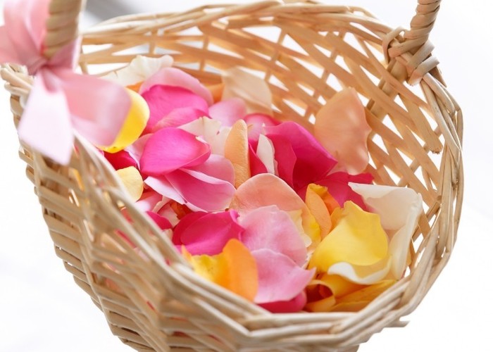 フラワーシャワーのアレンジで定番演出にオリジナリティを！ニュース