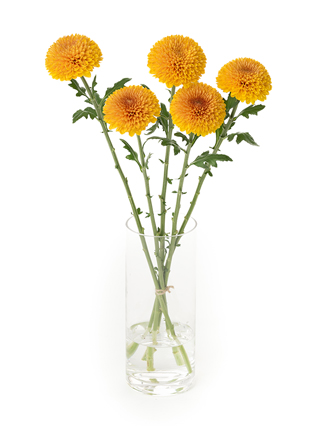 お正月 生け花のおしゃれなアレンジ・飾り方のインテリア実例RoomClip ルームクリップ