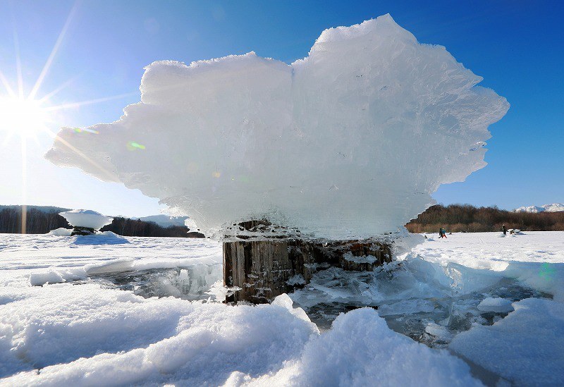どんぐりの里いなぶ」で冬の風物詩「雪み街道」 - 豊田経済新聞