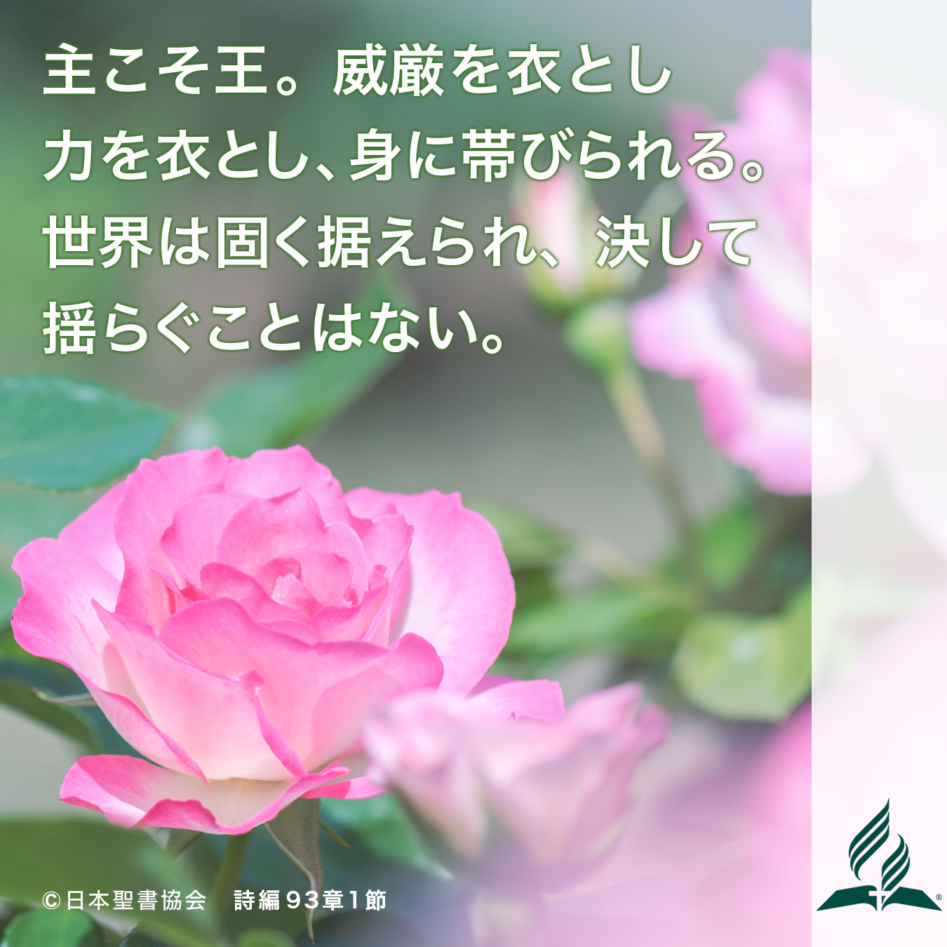 艶やかなバラに囲まれる「相模川ローズガーデンフェスティバル」武相エリアのイベント ニュース powered by BUSOの天気
