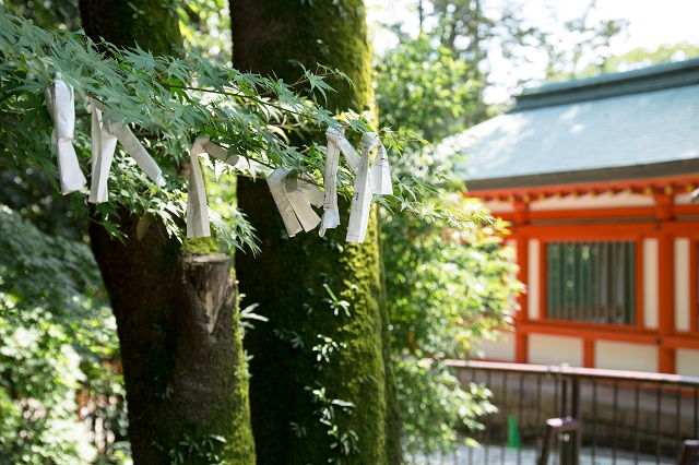 安井金比羅宮東京で叶う京都での神社結婚式