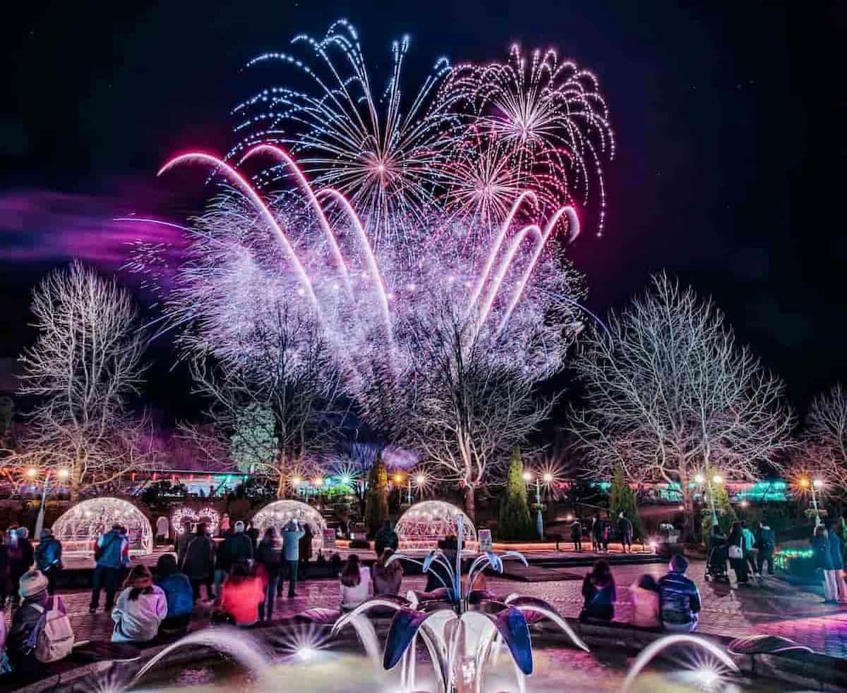 七夕イルミネーションTORI☆ROCK FESTIVAL フフヤフェス 風紋広場鳥取ぺんぎん